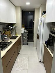 The Miltonia Residences (D27), Condominium #482835681
